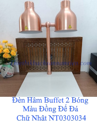 den-ham-thuc-an-gia-re-dung-cu-buffet-cao-cap-2-bong-mau-dong