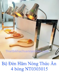 den-ham-thuc-an-gia-re-dung-cu-buffet-cao-cap-4-bong 1