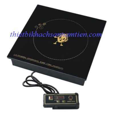 Bếp Điện Từ Cao Cấp NT300C20